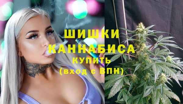 ГАЛЛЮЦИНОГЕННЫЕ ГРИБЫ Гусев