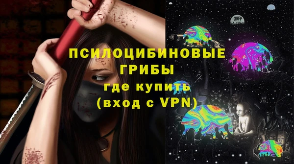 ГАЛЛЮЦИНОГЕННЫЕ ГРИБЫ Гусев