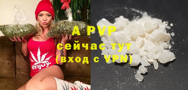 ГАЛЛЮЦИНОГЕННЫЕ ГРИБЫ Гусев