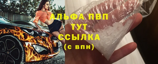 ГАЛЛЮЦИНОГЕННЫЕ ГРИБЫ Гусев