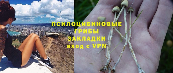 ГАЛЛЮЦИНОГЕННЫЕ ГРИБЫ Гусев