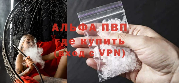 ГАЛЛЮЦИНОГЕННЫЕ ГРИБЫ Гусев