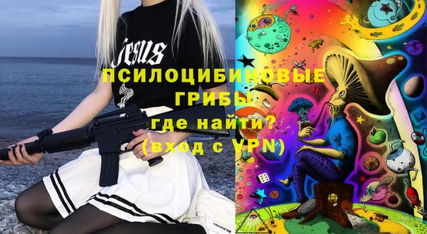 2c-b Гусиноозёрск