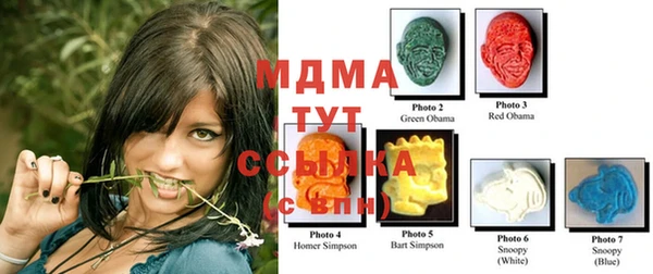 ГАЛЛЮЦИНОГЕННЫЕ ГРИБЫ Гусев