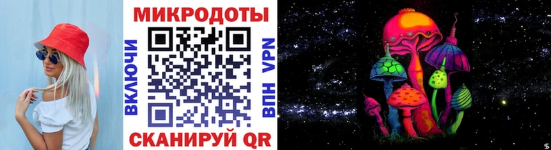 Купить  Торопец  Галлюциногенные грибы GOLDEN TEACHER 